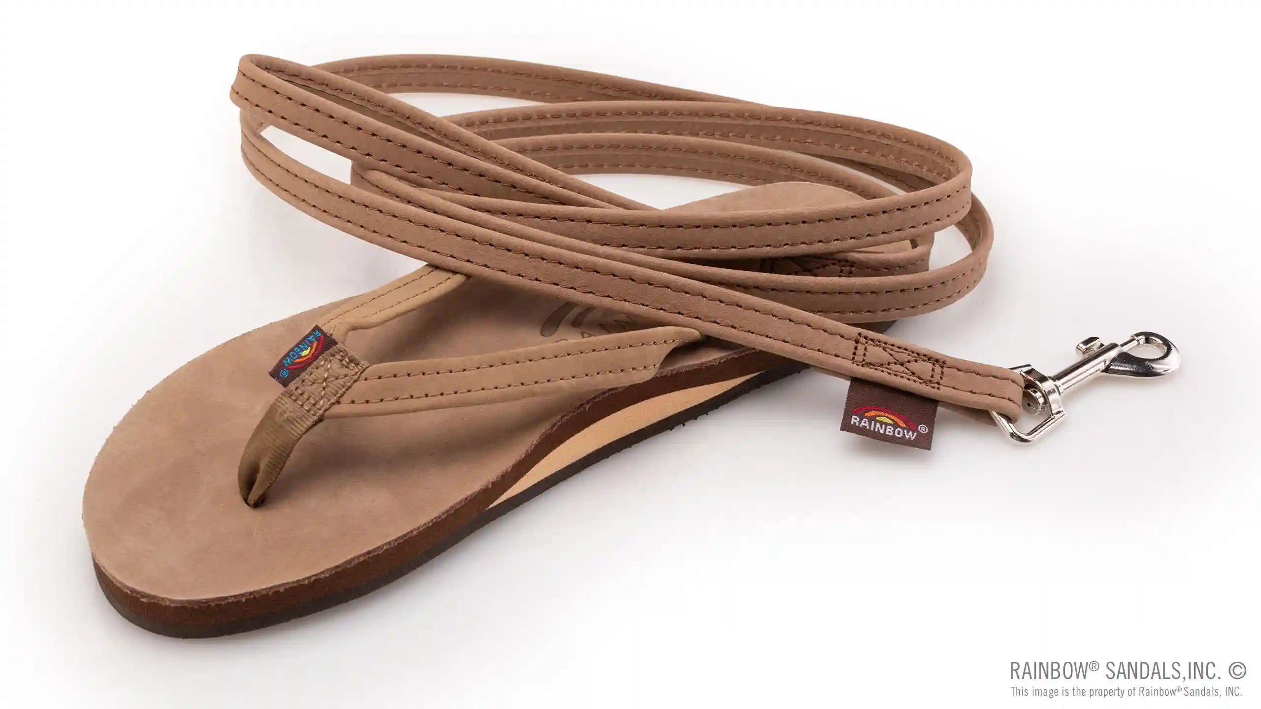 Leather Dog Leash - Assorted Widths - Image 3