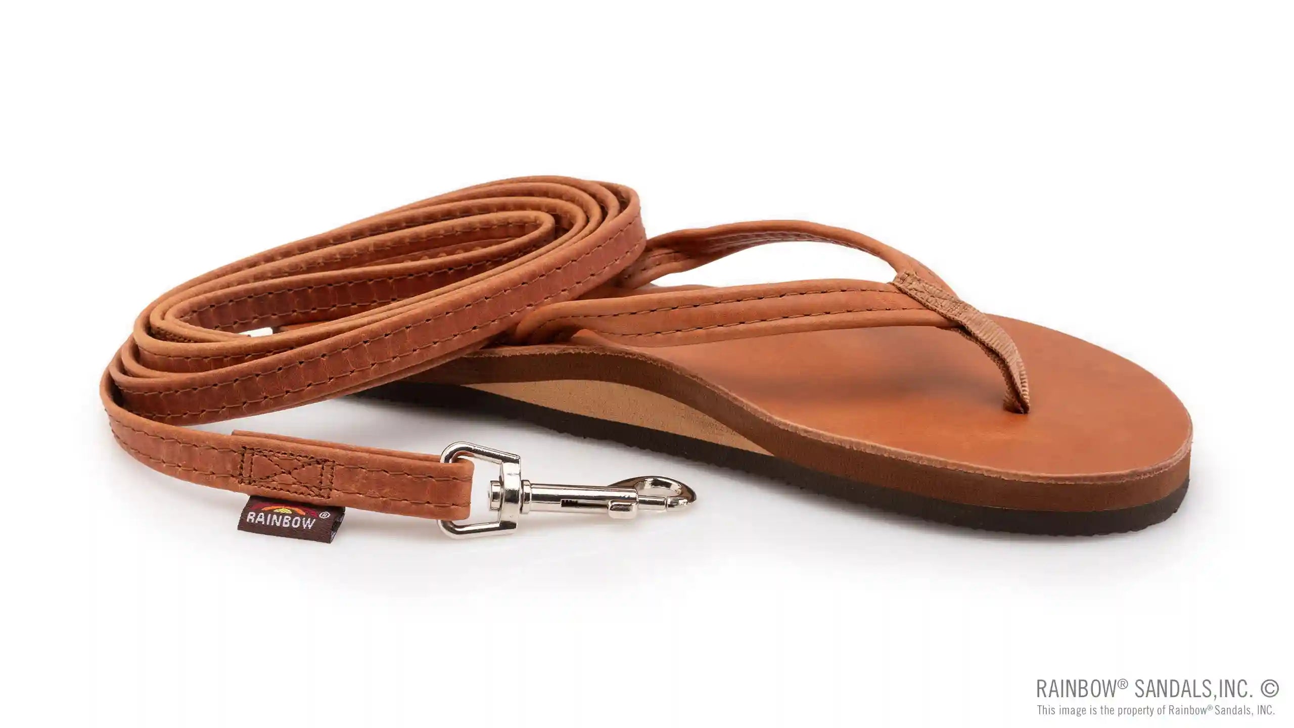 Leather Dog Leash - Assorted Widths - Image 9