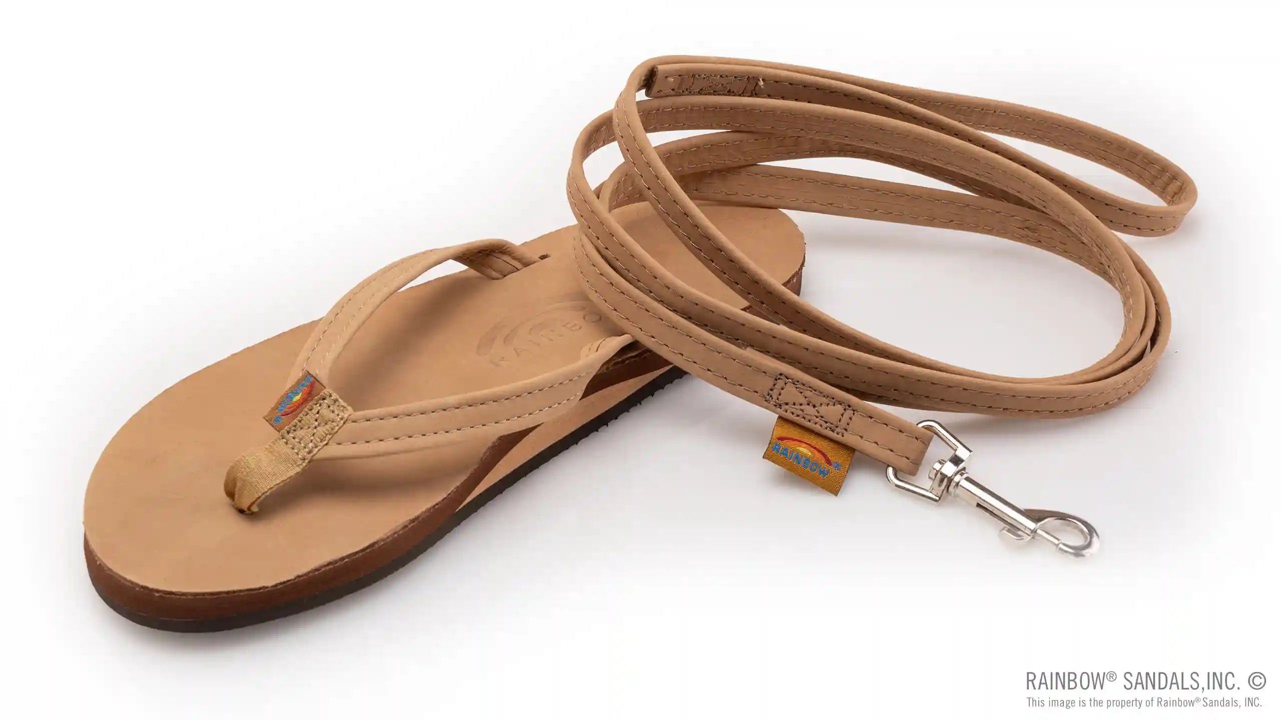 Leather Dog Leash - Assorted Widths - Image 15
